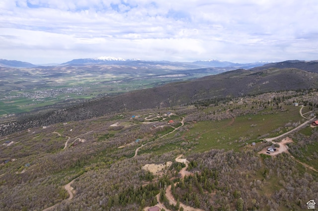 Unit 132, Fairview, UT 84629