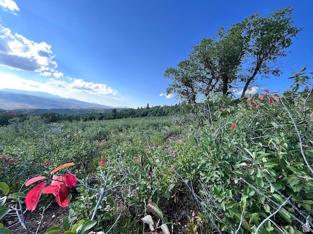 Unit 132, Fairview, UT 84629