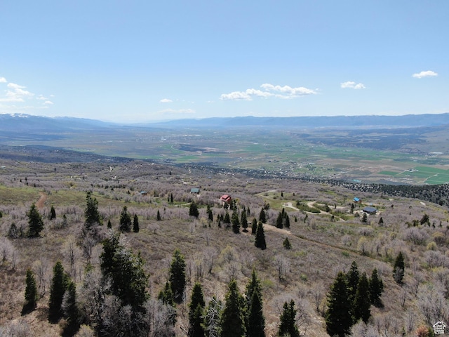 Unit 132, Fairview, UT 84629