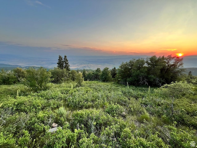 Unit 132, Fairview, UT 84629