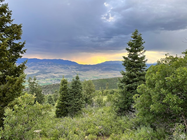Unit 132, Fairview, UT 84629