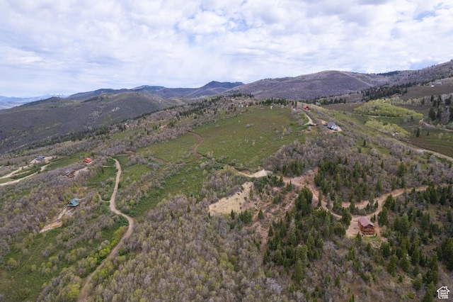 Unit 132, Fairview, UT 84629
