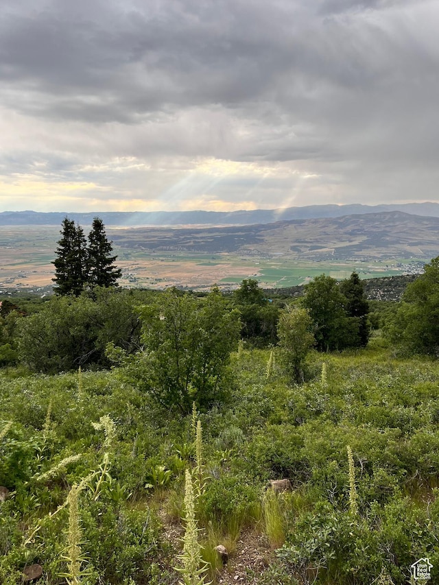 Unit 132, Fairview, UT 84629