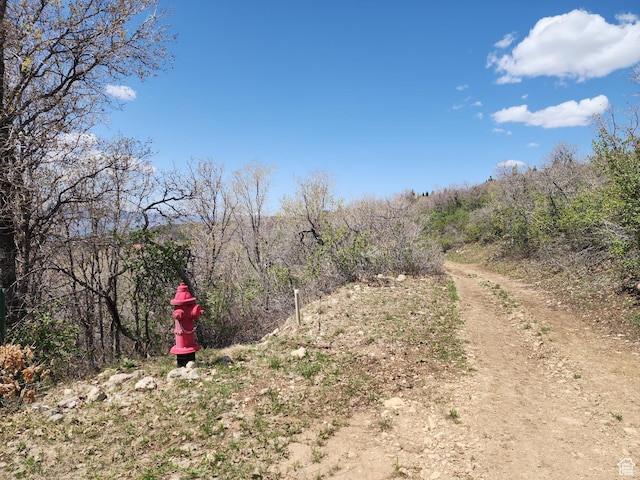 Unit 132, Fairview, UT 84629