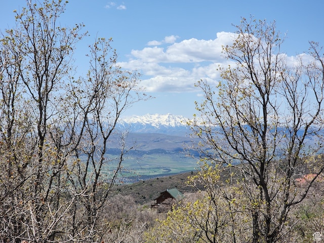 Unit 132, Fairview, UT 84629