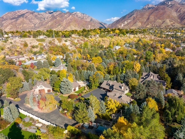 2238 E Cottonwood Cove Ln, Cottonwood Heights, UT 84121 - photo 101