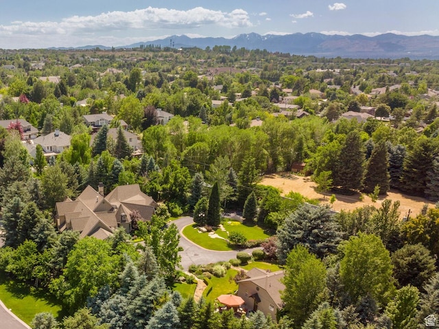 2238 E Cottonwood Cove Ln, Cottonwood Heights, UT 84121 - photo 104