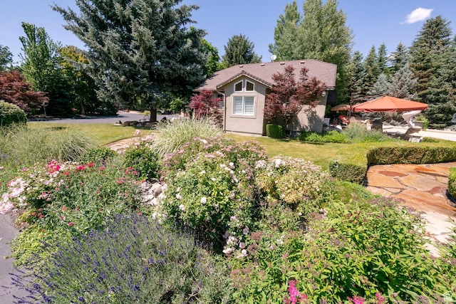2238 E Cottonwood Cove Ln, Cottonwood Heights, UT 84121 - photo 94