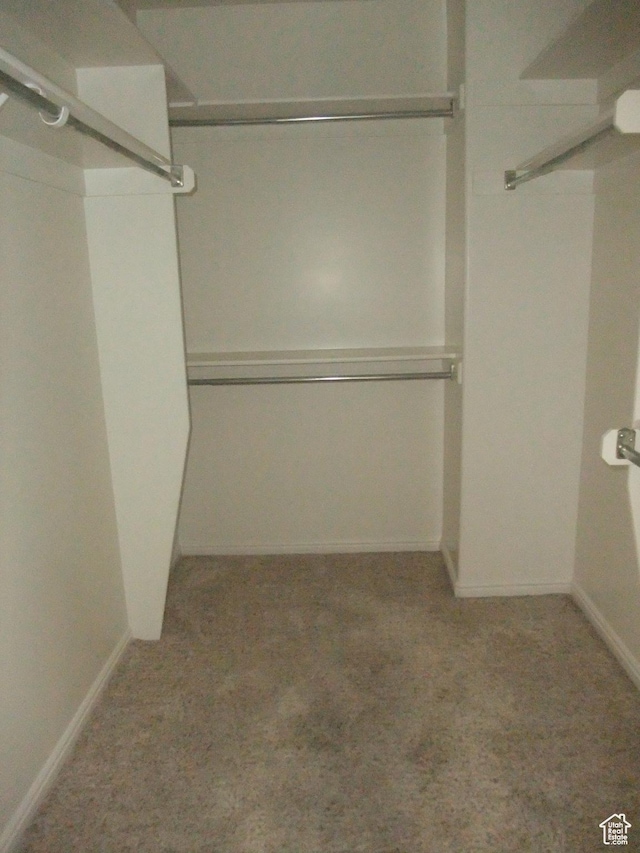 3681 W 775 N, Layton, UT 84041 - walk in closet with carpet flooring