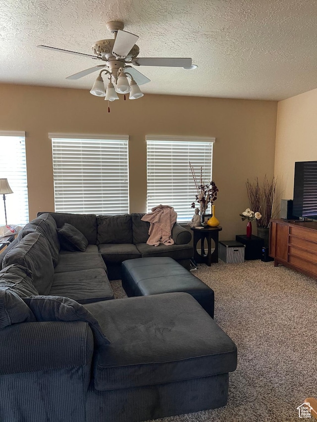 3681 W 775 N, Layton, UT 84041 - carpeted living area featuring a ceiling fan and a textured ceiling