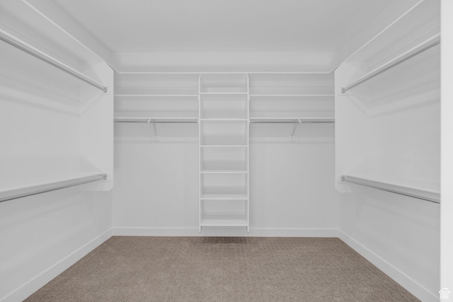2711 S Allison Way Unit 101, Syracuse, UT 84075 - walk in closet featuring carpet