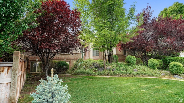 10205 N 3900 W, Cedar Hills, UT 84062 - view of grassy yard