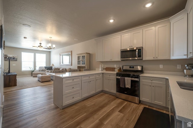 898 S 2560 E, Spanish Fork, UT 84660 - kitchen featuring stainless steel appliances, a peninsula, open floor plan, a chandelier, and wood finished floors