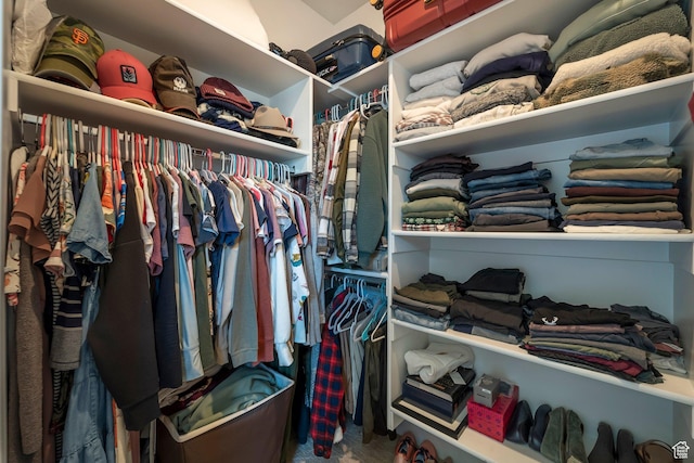 898 S 2560 E, Spanish Fork, UT 84660 - walk in closet featuring carpet floors