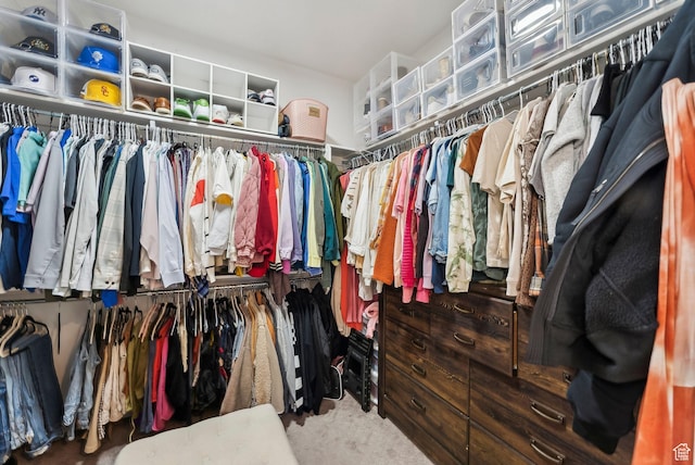 222 S Summer Breeze Ln, Layton, UT 84041 - walk in closet featuring carpet