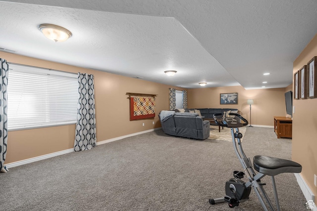 3285 S 575 W, Syracuse, UT 84075 - workout area with carpet, baseboards, a textured ceiling, and healthy amount of natural light