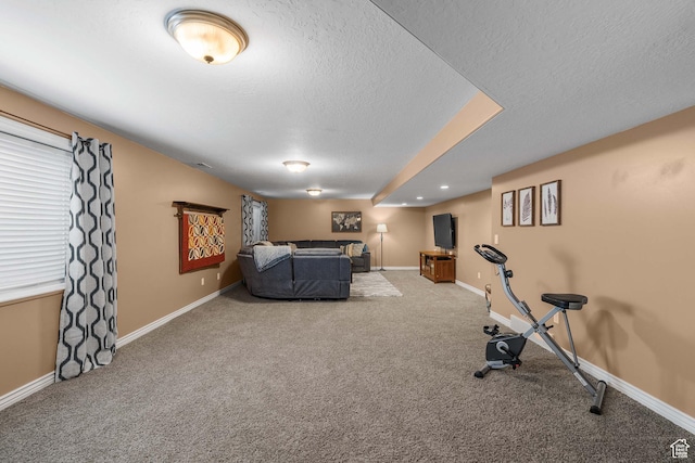 3285 S 575 W, Syracuse, UT 84075 - workout room featuring carpet, a textured ceiling, and baseboards