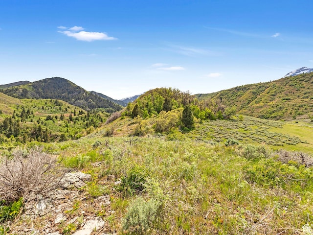9724 S US Highway 189, Heber City, UT 84032