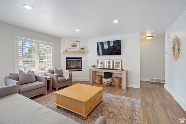 890 E 20 N, Smithfield, UT 84335 - living room with wood finished floors, recessed lighting, a fireplace, and baseboards