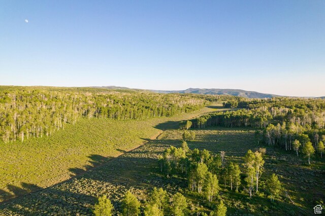 11042 E Wild Elk Mdw, Heber City, UT 84032 - view of yard featuring a mountain view