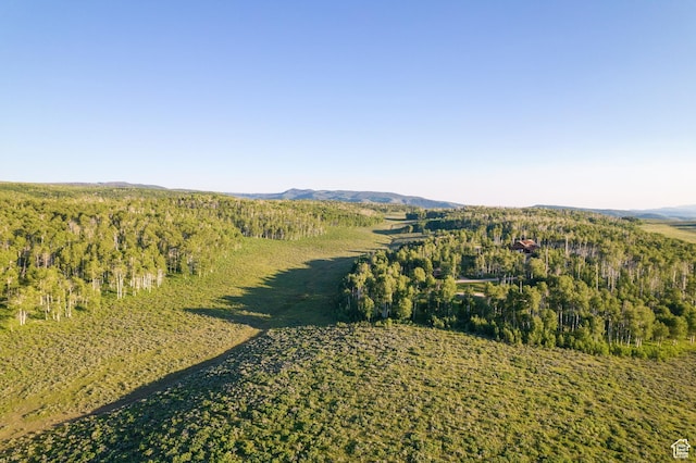 11042 E Wild Elk Mdw, Heber City, UT 84032 - aerial overview of property's location featuring a heavily wooded area and mountains