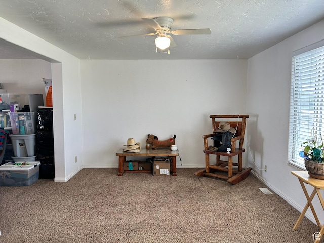 545 E Molen Rd, Ferron, UT 84523 - sitting room featuring carpet, ceiling fan, a textured ceiling, and baseboards