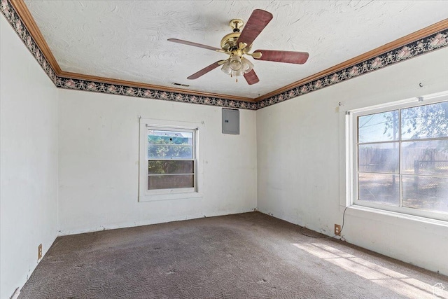 660 S Coleman St, Tooele, UT 84074 - carpeted spare room featuring electric panel, crown molding, ceiling fan, and a textured ceiling