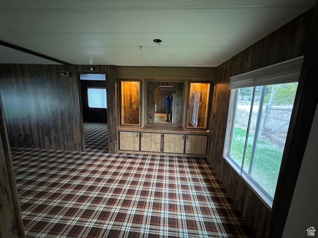 184 N 3rd E, Manila, UT 84046 - carpeted empty room with wooden walls