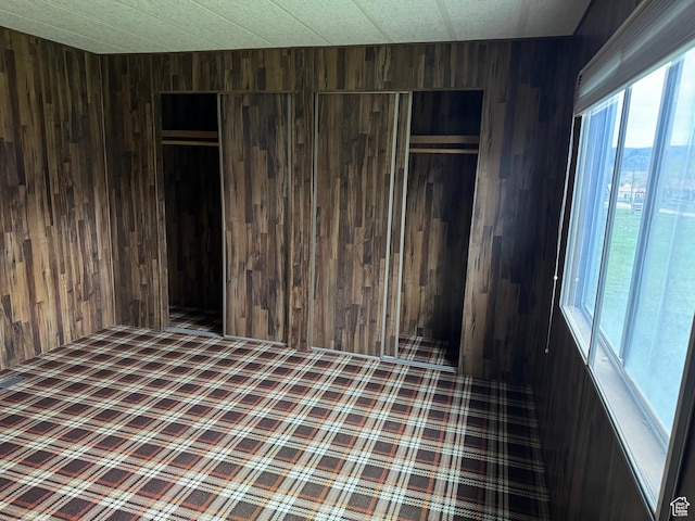 184 N 3rd E, Manila, UT 84046 - unfurnished bedroom with wood walls and a closet