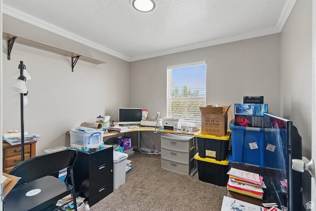 122 W Stern Ct Unit 25, Stansbury Park, UT 84074 - carpeted office space with ornamental molding