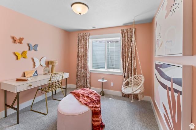 2041 W Pinnacle Ave, Mapleton, UT 84664 - home office with carpet and baseboards