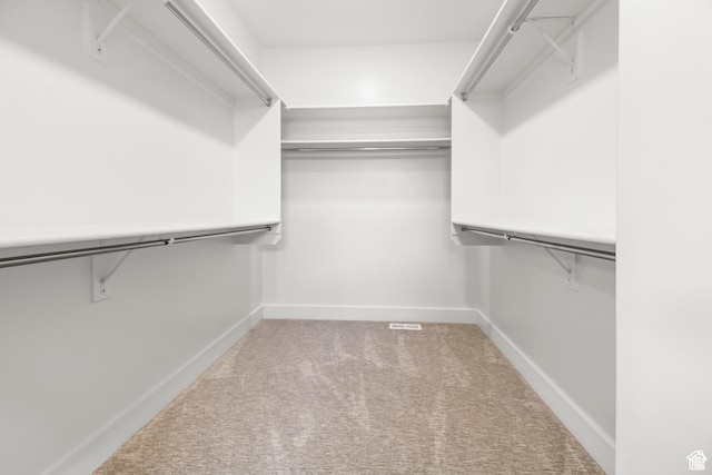 2041 W Pinnacle Ave, Mapleton, UT 84664 - walk in closet with carpet