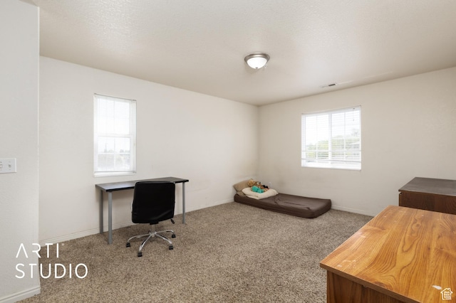 98 W 1230 N Unit 226, Provo, UT 84604 - carpeted office space featuring baseboards