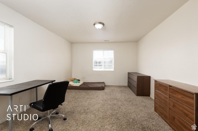 98 W 1230 N Unit 226, Provo, UT 84604 - office area with carpet flooring and baseboards