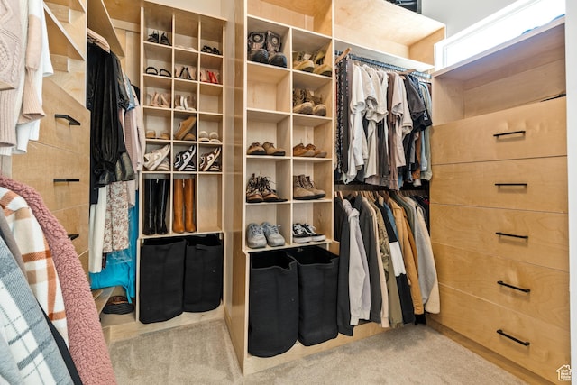 423 W Fitness Way, Ivins, UT 84738 - walk in closet with carpet