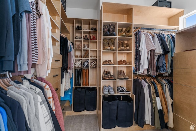 423 W Fitness Way, Ivins, UT 84738 - view of spacious closet