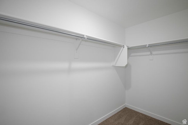 634 W Parker Pl Unit 1060, Grantsville, UT 84029 - spacious closet with dark colored carpet