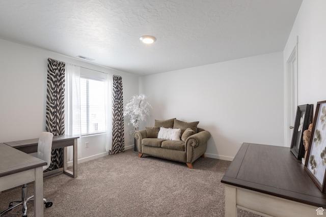 634 W Parker Pl Unit 1060, Grantsville, UT 84029 - home office featuring baseboards, carpet floors, and a textured ceiling
