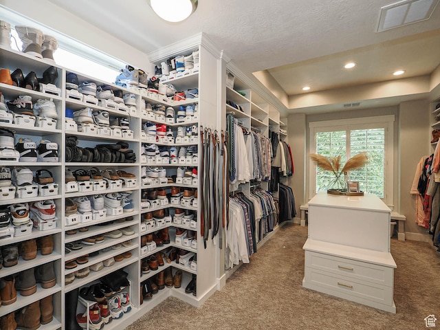 13772 S Kennington Ct E, Draper, UT 84020 - spacious closet featuring carpet and a raised ceiling