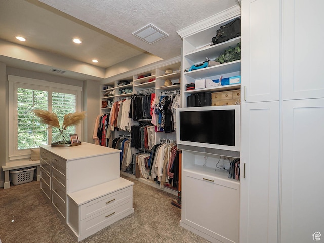 13772 S Kennington Ct E, Draper, UT 84020 - walk in closet with light carpet and a tray ceiling