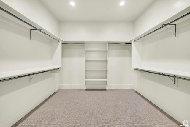 1585 E Black Brush Dr Unit 61, Washington, UT 84780 - walk in closet featuring light carpet