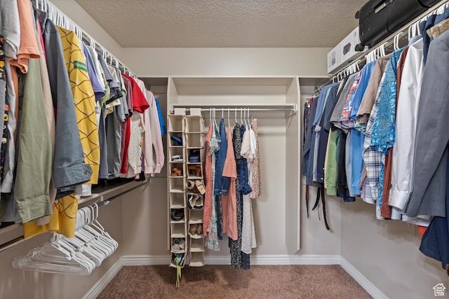 277 N 3600 W, Layton, UT 84041 - spacious closet featuring carpet
