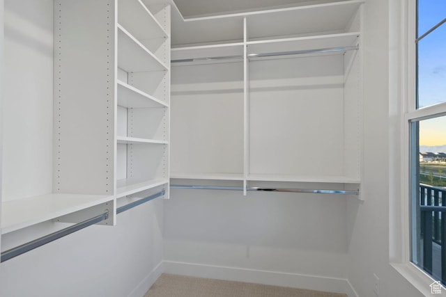 11433 S Watercourse Rd Unit 184, South Jordan, UT 84009 - view of spacious closet