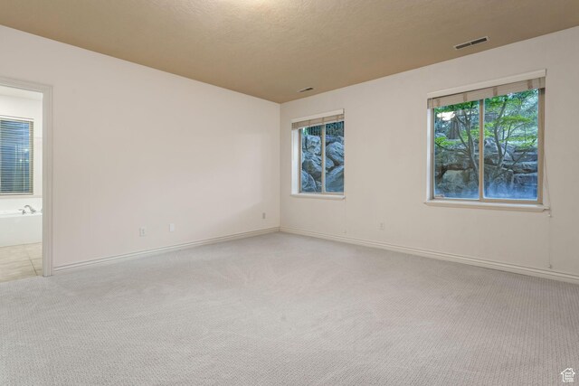 584 S Silver Ln, Alpine, UT 84004 - spare room with light carpet and baseboards