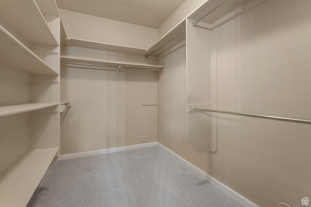 584 S Silver Ln, Alpine, UT 84004 - walk in closet featuring carpet floors