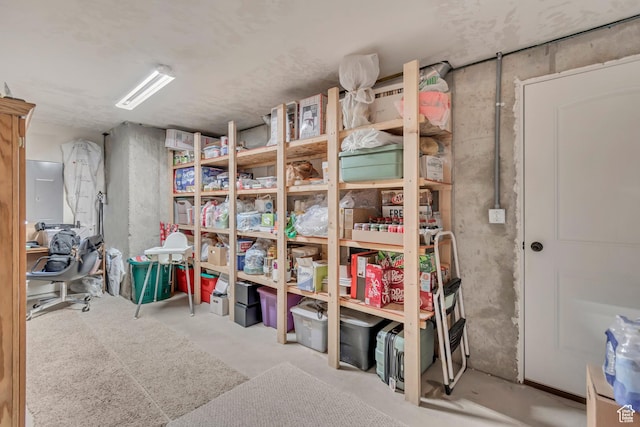 3028 W Viola Ln, Riverton, UT 84065 - view of storage