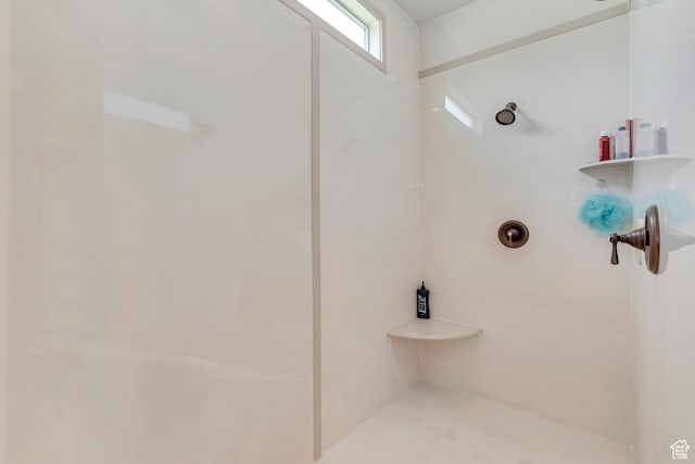 3028 W Viola Ln, Riverton, UT 84065 - full bathroom with a shower