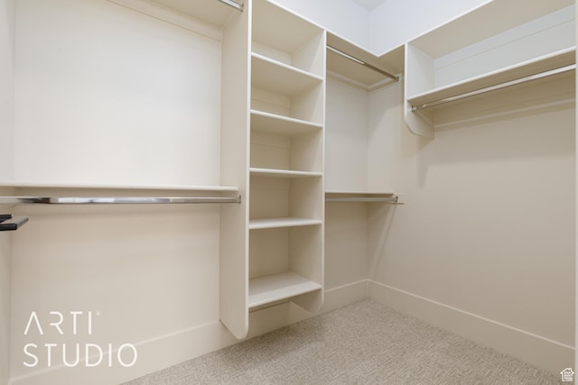 2921 E Yavin Way, St George, UT 84790 - walk in closet featuring carpet floors
