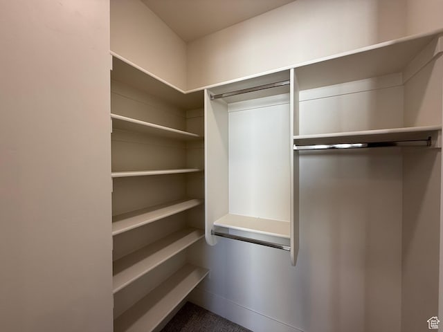 2921 E Yavin Way, St George, UT 84790 - view of spacious closet