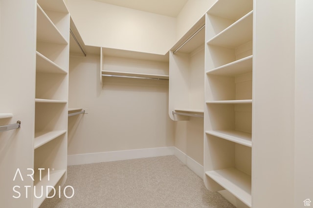 2921 E Yavin Way, St George, UT 84790 - walk in closet with carpet flooring